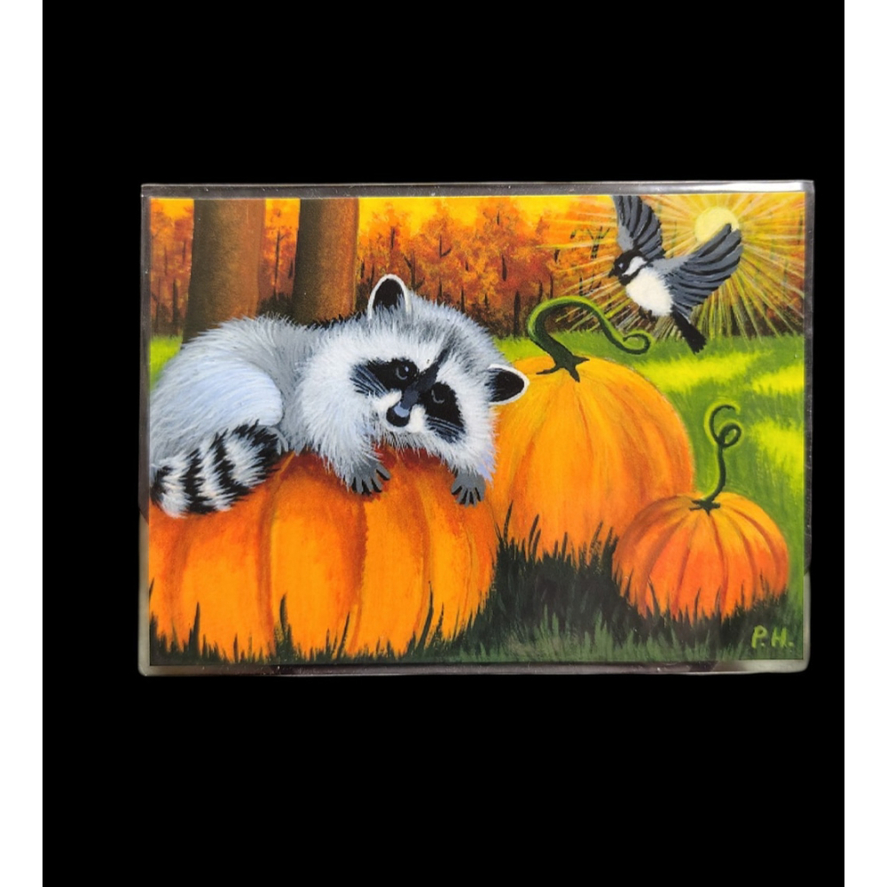 ACEO phyllis hartley O.E. Print racoon pumpkin "decisions, decisions" signed